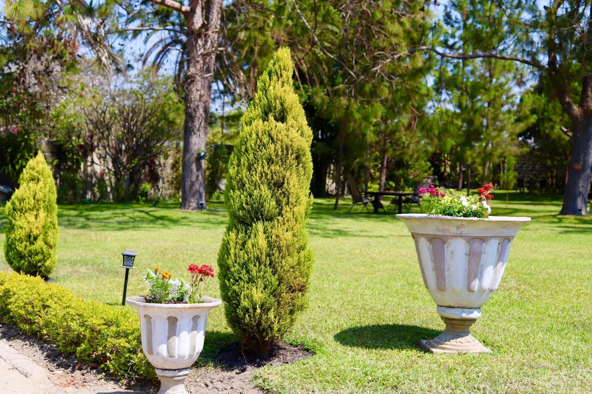 Summerfields & Gardens Lodge Kitwe Buitenkant foto