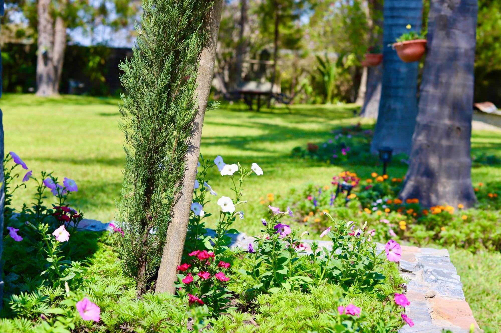 Summerfields & Gardens Lodge Kitwe Buitenkant foto