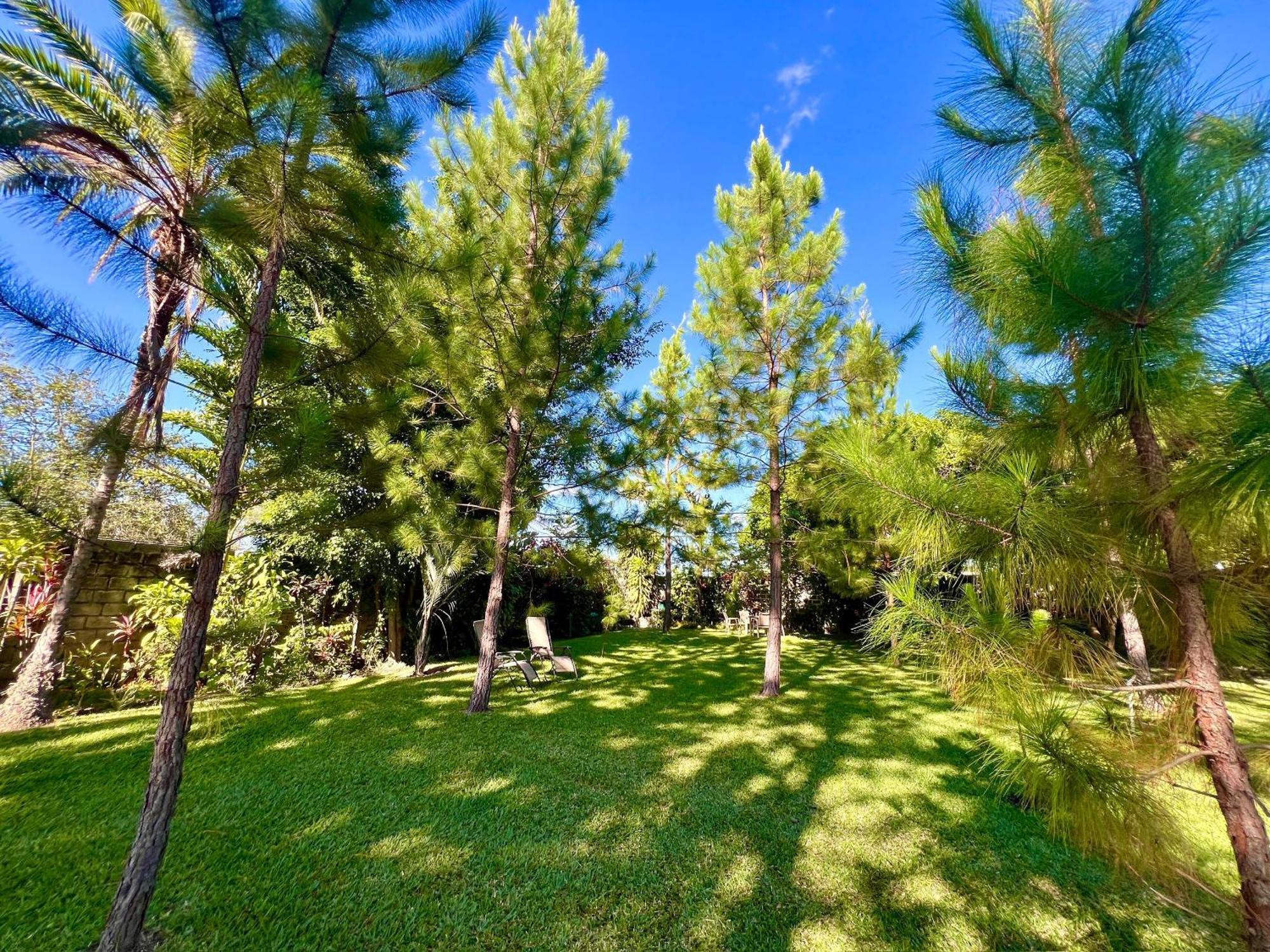 Summerfields & Gardens Lodge Kitwe Buitenkant foto