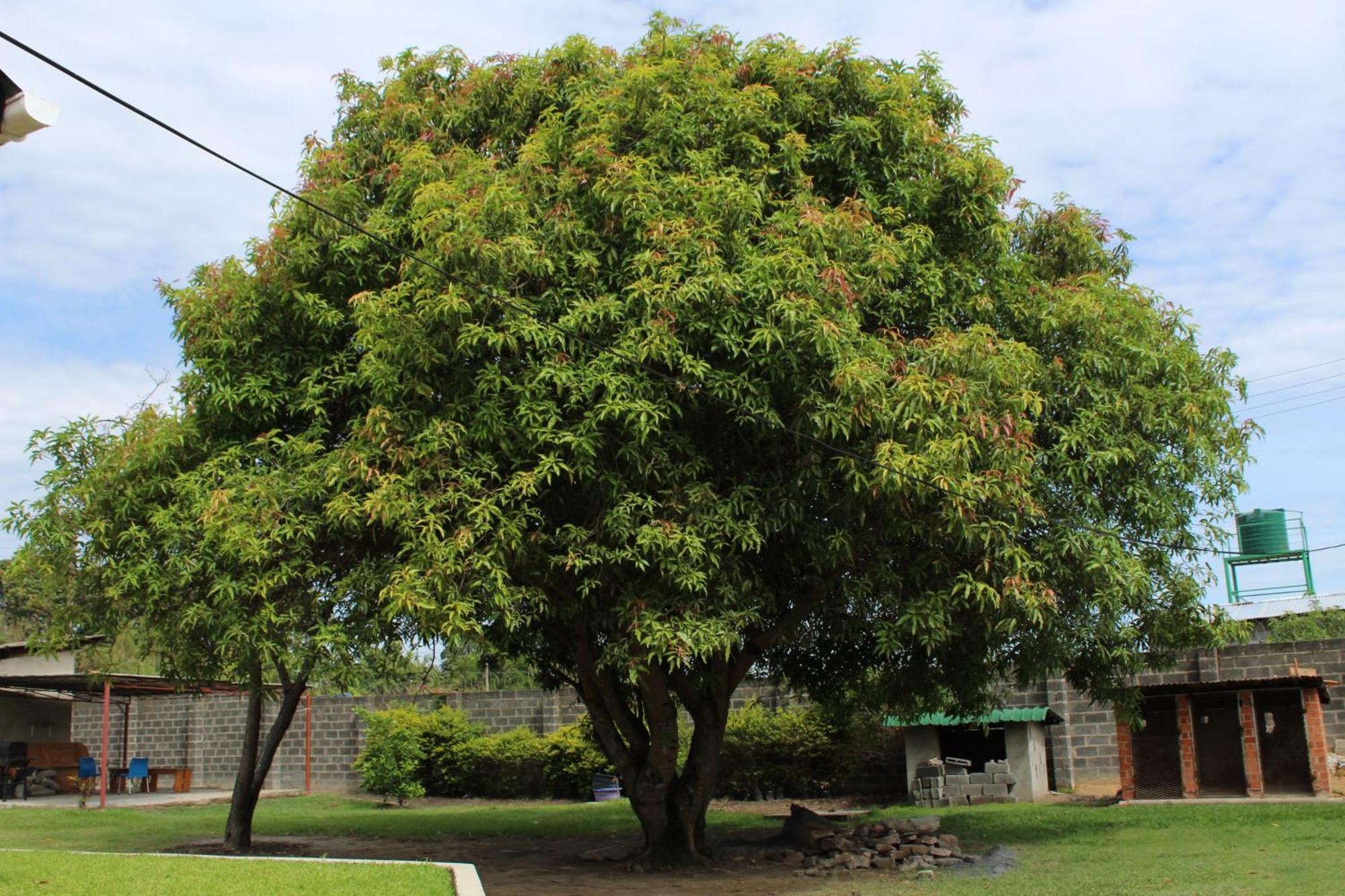 Summerfields & Gardens Lodge Kitwe Buitenkant foto